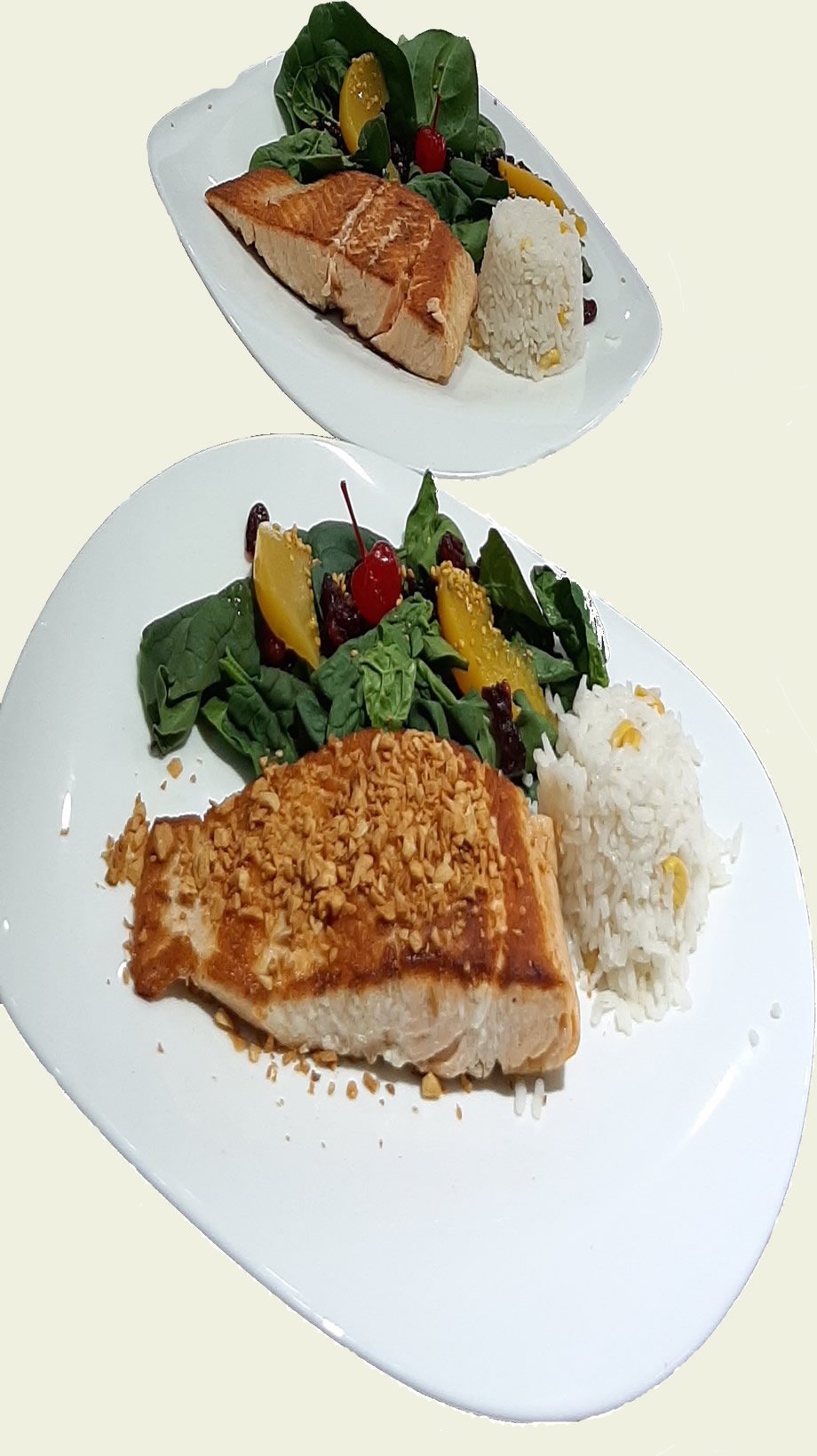 Salmon