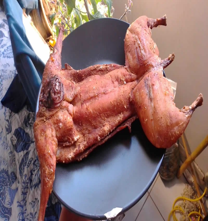 ConejoAhumado